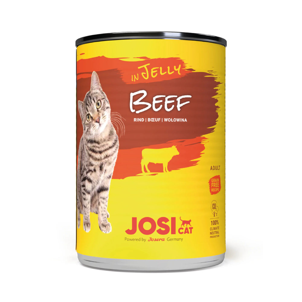 جوسي كات طعام رطب للقطط البالغة بنكهة اللحم البقري في الجيلي 400غ