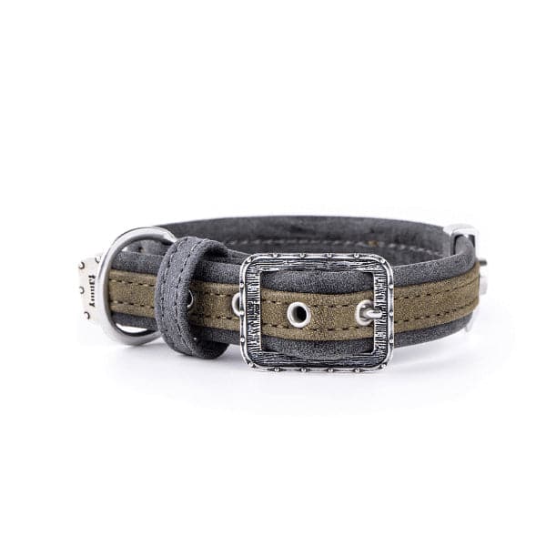 ماي فاميلي لندن طوق جلد للكلاب زيتي 45×2.2سم وسط